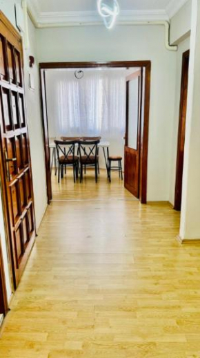 AÇELYa